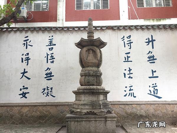 池里的王八 八仙池风水