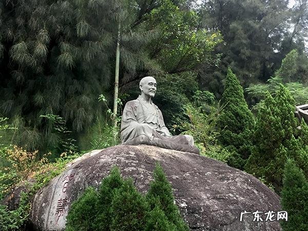 池里的王八 八仙池风水