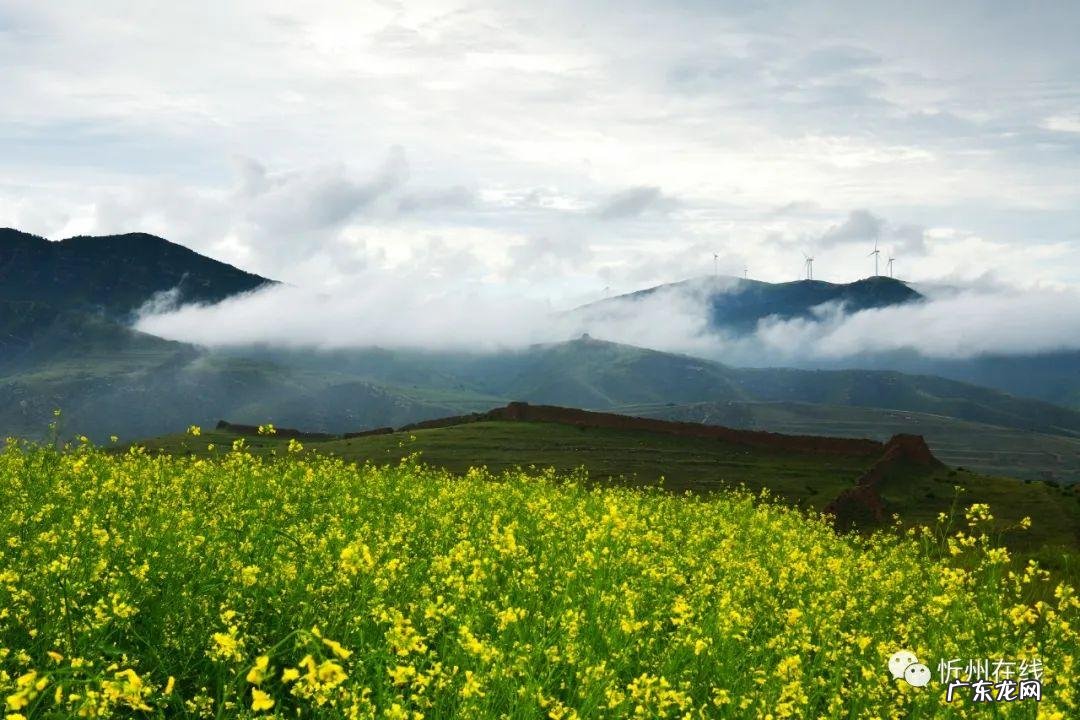 惠水小户型楼盘在售 惠农区风水洞小区在哪
