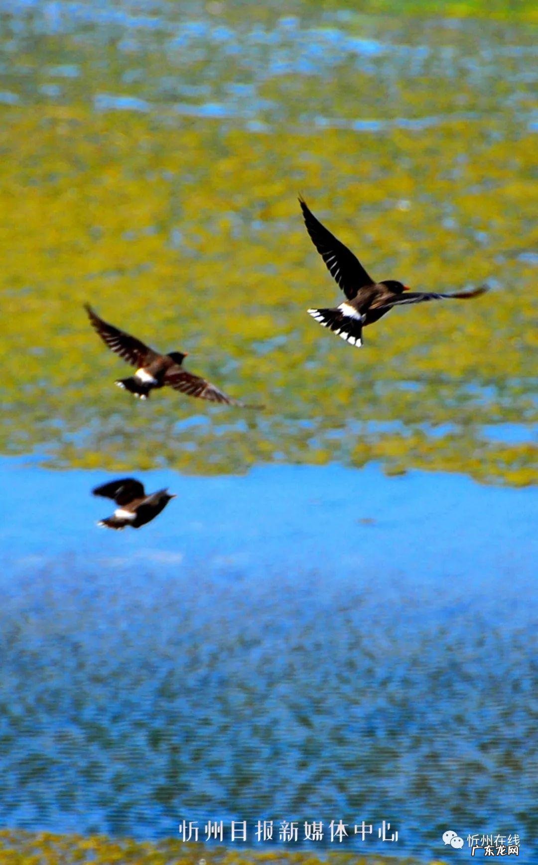 惠水小户型楼盘在售 惠农区风水洞小区在哪