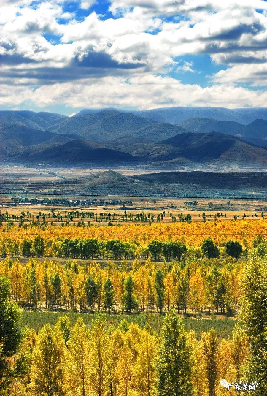 惠水小户型楼盘在售 惠农区风水洞小区在哪
