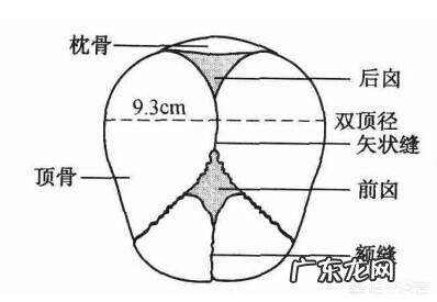37周胎儿双顶径98mm正常吗?