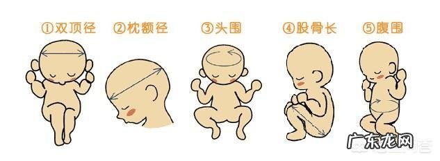 37周胎儿双顶径98mm正常吗?