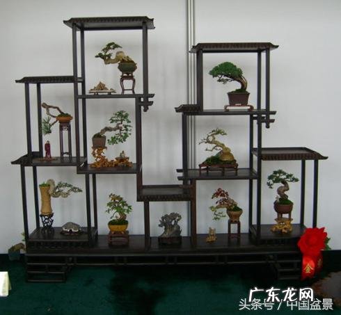 风水沙盘模型 沙盘风水盆景图片