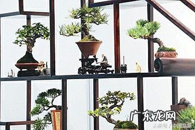 风水沙盘模型 沙盘风水盆景图片