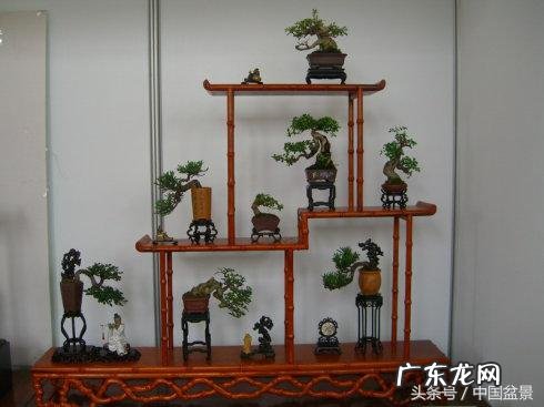 风水沙盘模型 沙盘风水盆景图片