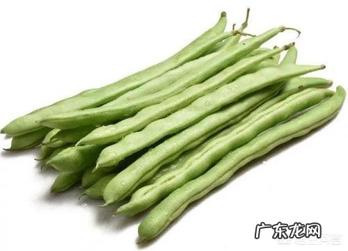 四季豆有什么营养价值?