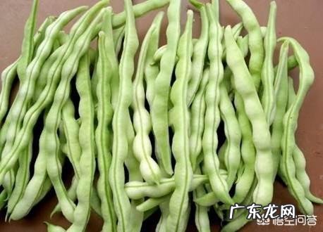 四季豆有什么营养价值？