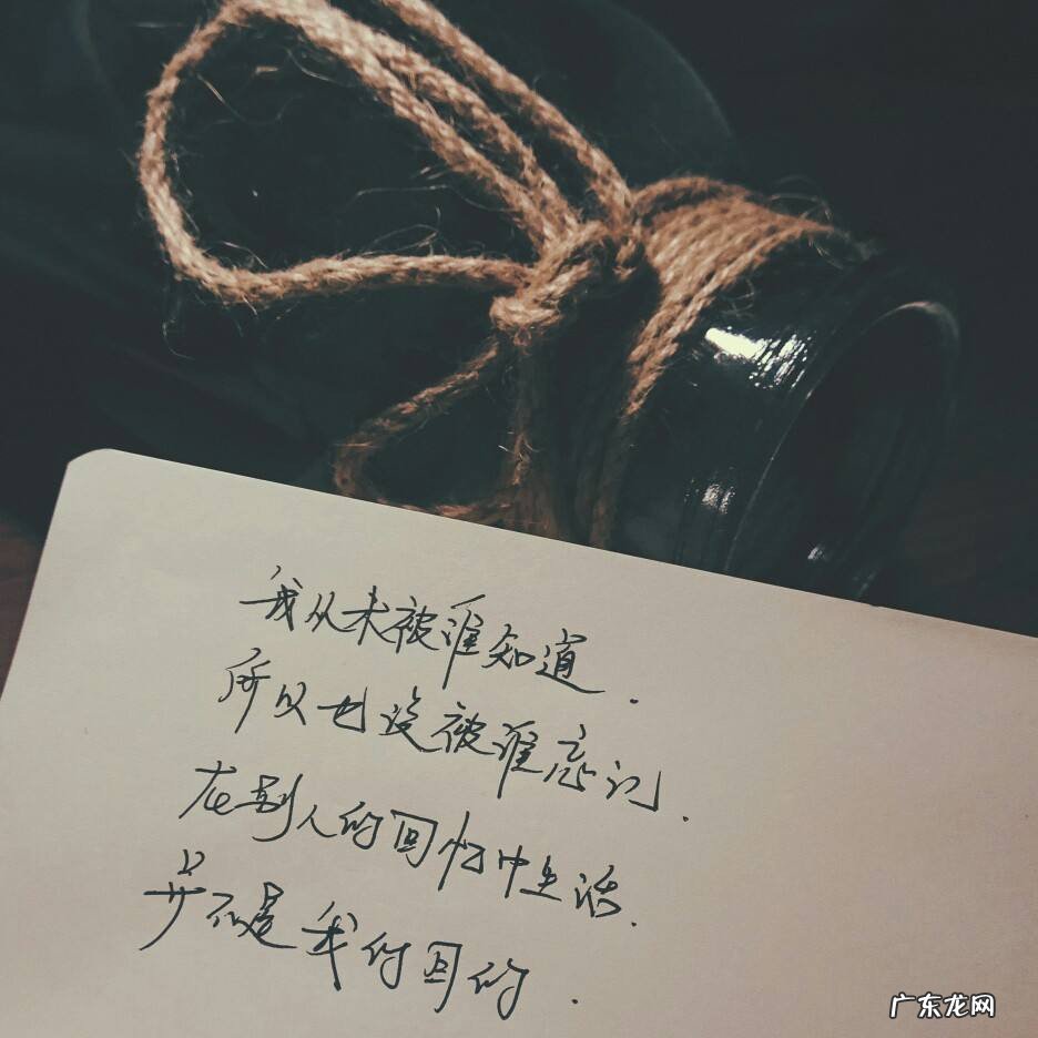 心灵鸡汤 读后感