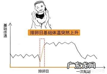 想问一下排卵期的症状是怎么样的呢?