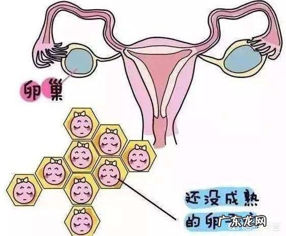 想问一下排卵期的症状是怎么样的呢?