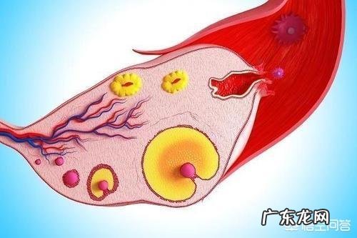 想问一下排卵期的症状是怎么样的呢?