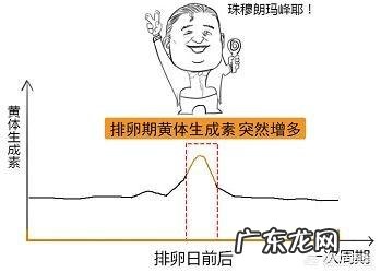 想问一下排卵期的症状是怎么样的呢?