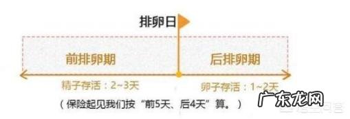 想问一下排卵期的症状是怎么样的呢?