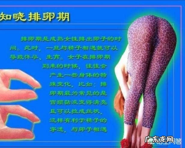 想问一下排卵期的症状是怎么样的呢?