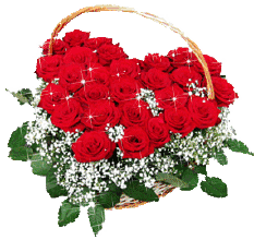 祝福冬安的句子,早安问候,愿你冬来更安康 过冬祝福短信