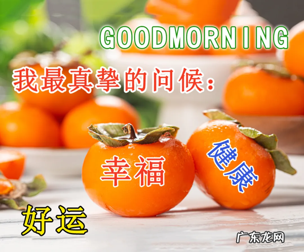 祝福冬安的句子,早安问候,愿你冬来更安康 过冬祝福短信