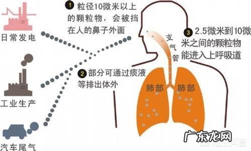 沙尘暴和雾霾哪个对人体危害更大?