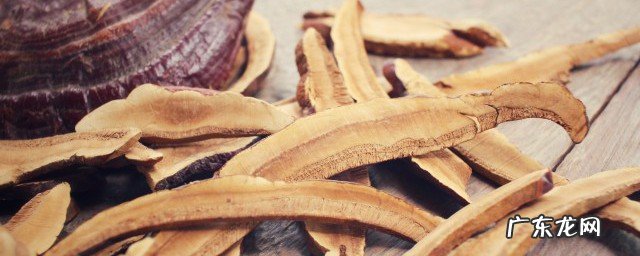 灵芝越大越好吗