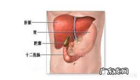 肝囊肿是怎么回事?