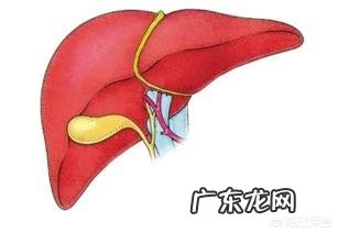 肝囊肿是怎么回事?