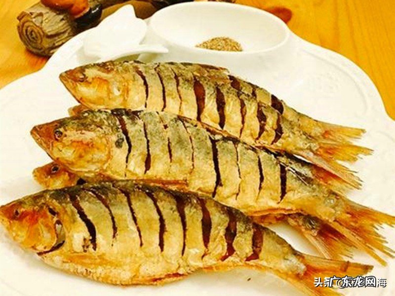 海水中也有鲫鱼？听威海渔民分享美味海鲫鱼的故事，好吃到流口水 海鲫鱼是什么鱼