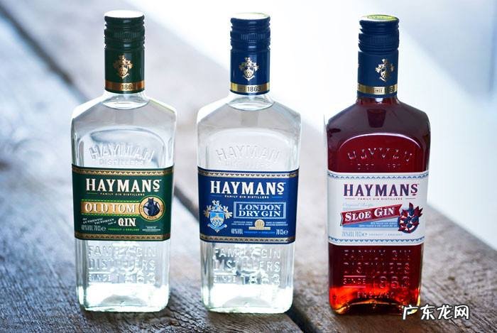 琴酒的历史及发展丨琴酒源自荷兰,最早的用途是药酒 琴酒属于什么酒