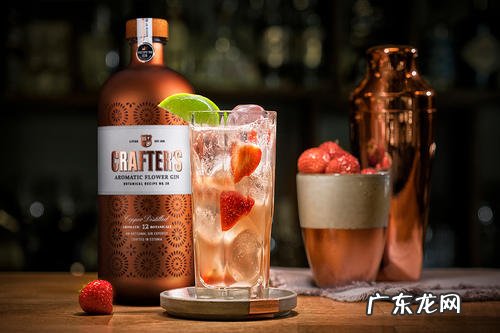 琴酒的历史及发展丨琴酒源自荷兰,最早的用途是药酒 琴酒属于什么酒