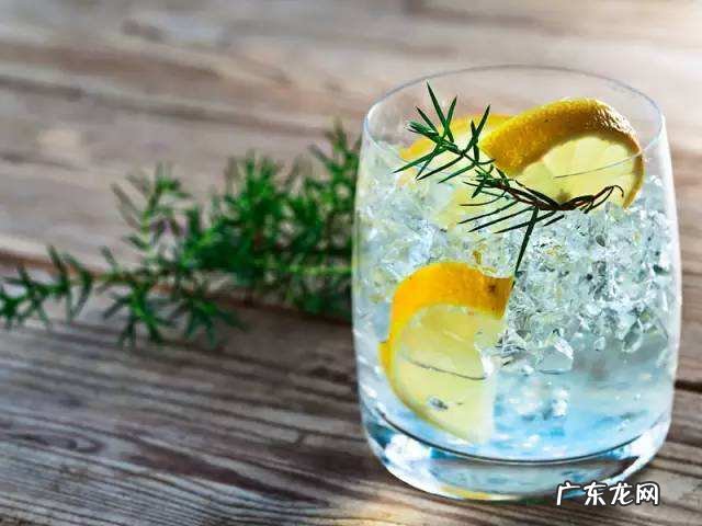 琴酒的历史及发展丨琴酒源自荷兰,最早的用途是药酒 琴酒属于什么酒