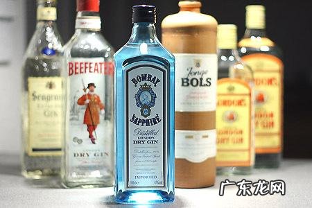 琴酒的历史及发展丨琴酒源自荷兰,最早的用途是药酒 琴酒属于什么酒
