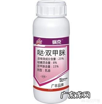 蜱虫死死咬在狗狗身上,要怎么取下来?