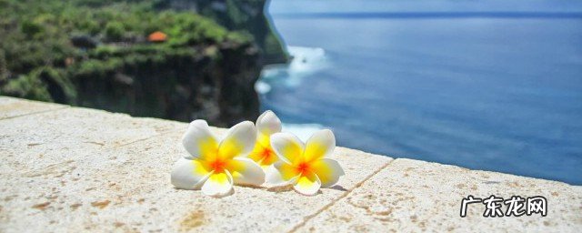 最近很火的早安句子