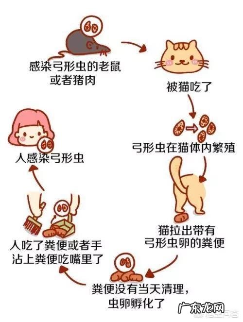 怀孕九周，应该要做些什么检查，注意些什么事项？