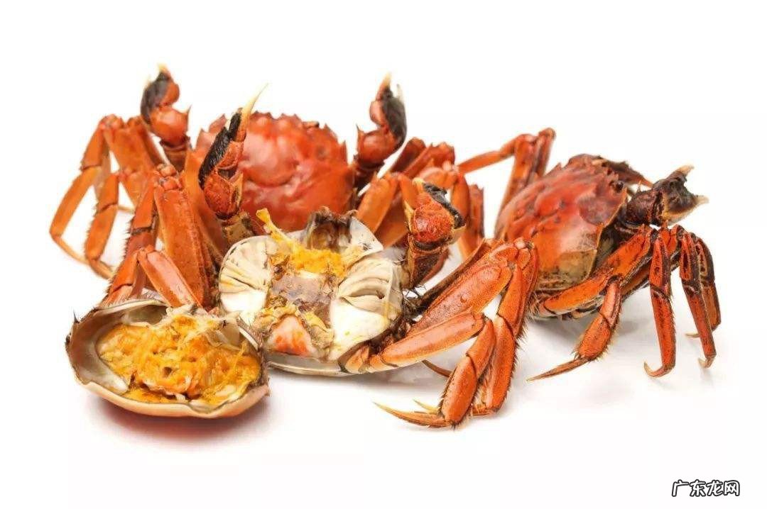 什么人不能吃螃蟹