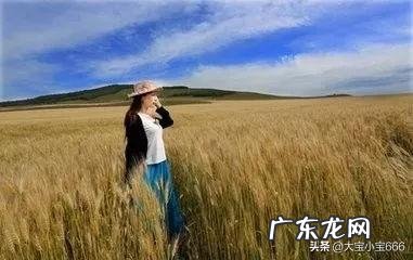 培养孩子的过程,也是和孩子共同成长的过程,你认同吗?