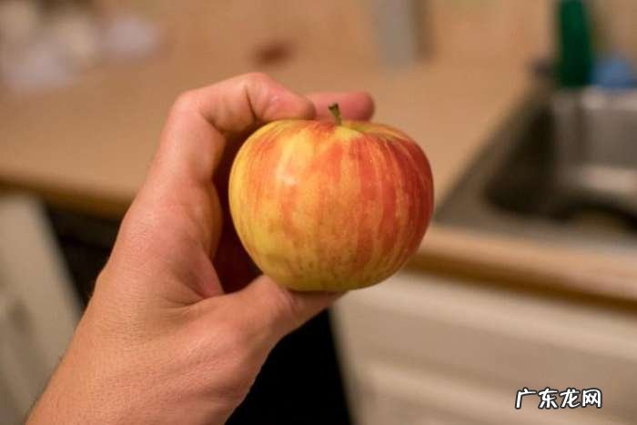 水果拼图图片最简单 水果拼图图片