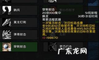 魔兽世界60级射击猎人天赋 wow射击猎人天赋推荐