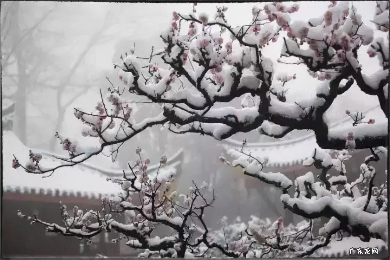 水墨山水画入门 古风水墨入门