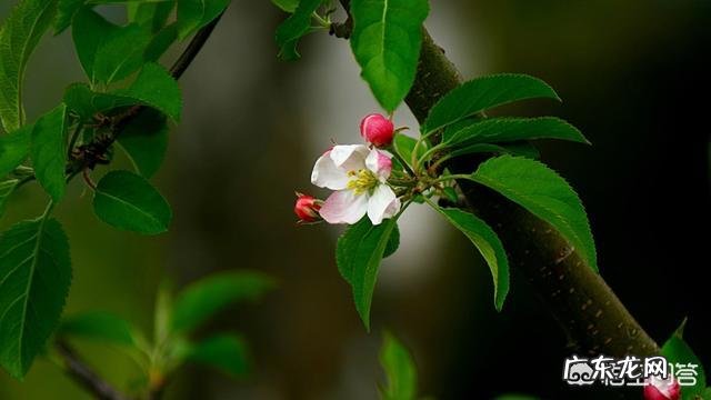 鼻炎鼻子不通气怎么办?