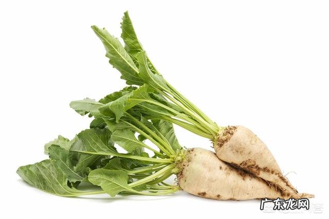 鼻炎鼻子不通气怎么办?