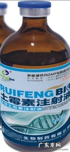 养猪户如何分辨饲养猪是否得了弓形虫疾病，如何用药？