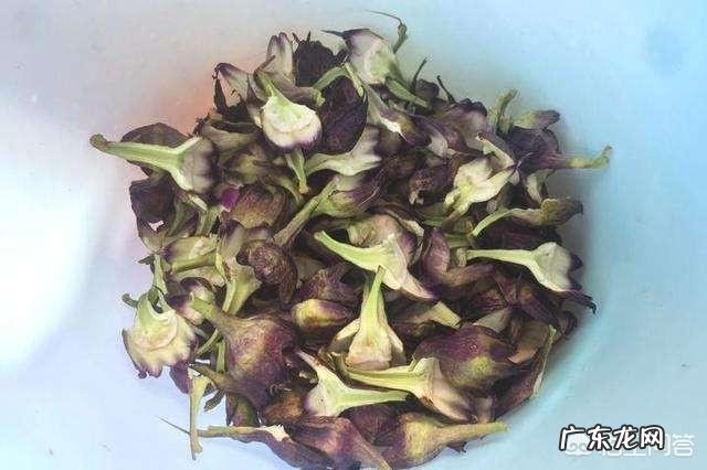 茄子把儿能吃吗?有什么作用?