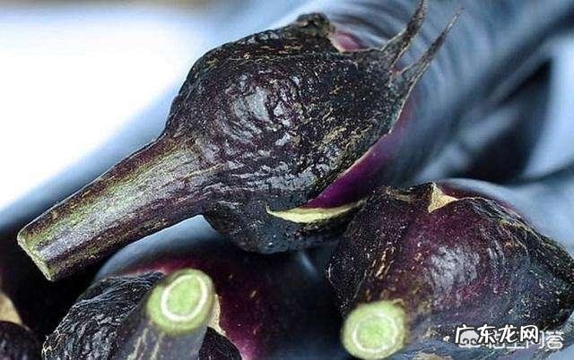 茄子把儿能吃吗?有什么作用?