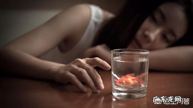 出门在外,思念家人或者恋人了,可以用什么诗句来表达?