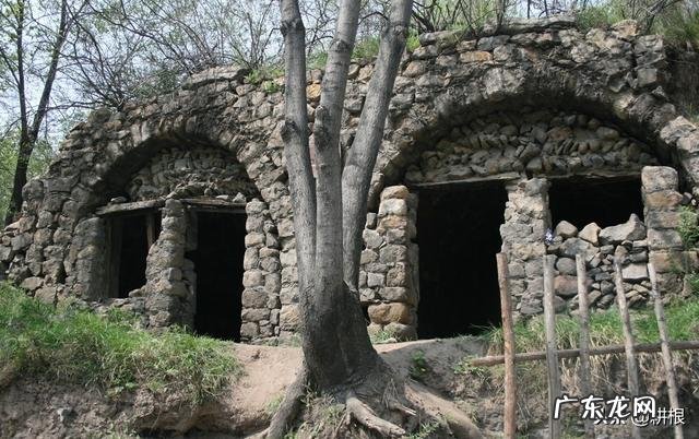 你读过令人感动或震撼的文学作品吗?