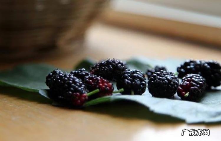 怎样调理失眠多梦 失眠多梦怎么调理最好的治疗方法是什么