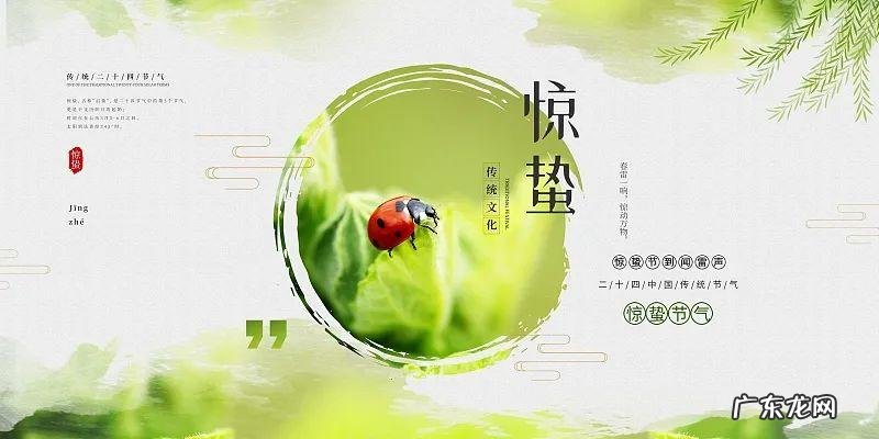 惊蛰原著小说 惊蛰传说故事