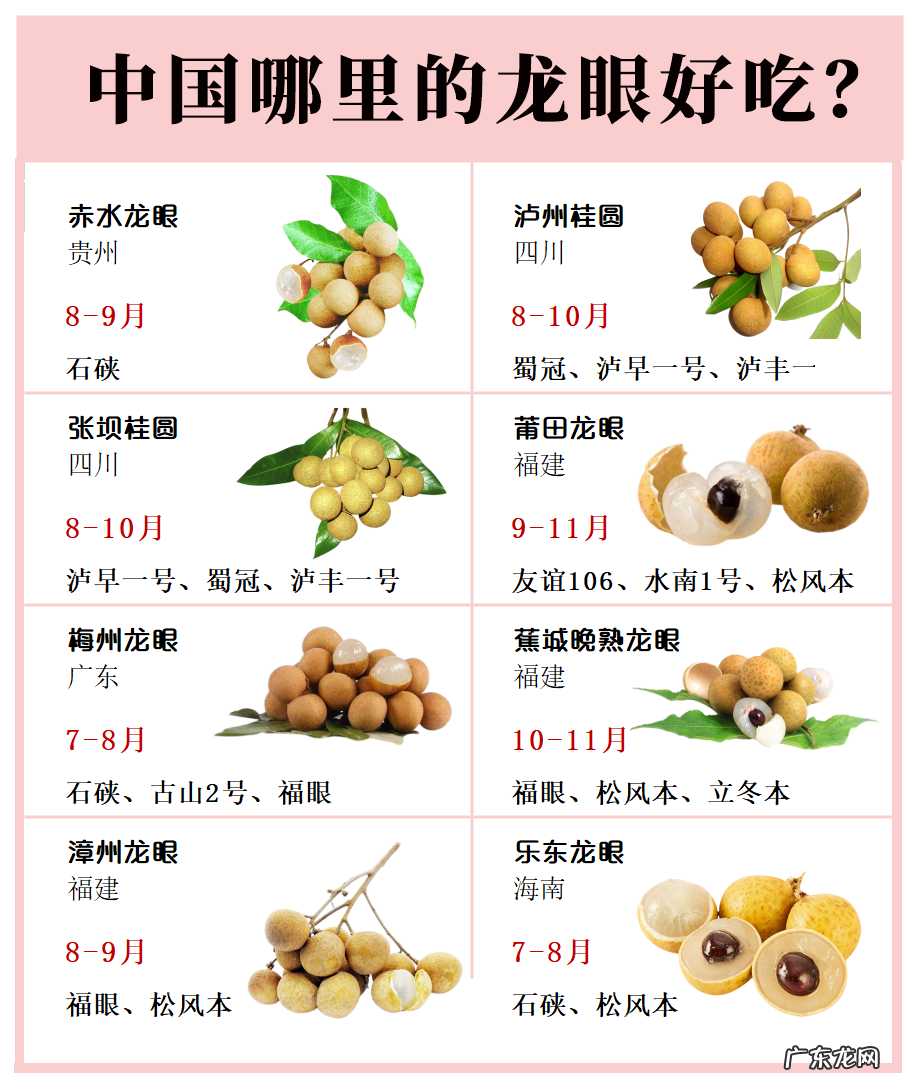 现在龙眼产地哪里 龙眼产地是哪里