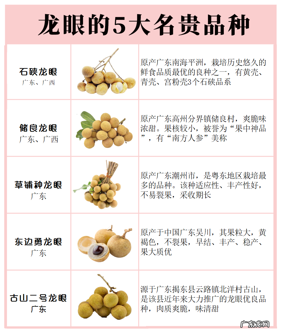 现在龙眼产地哪里 龙眼产地是哪里