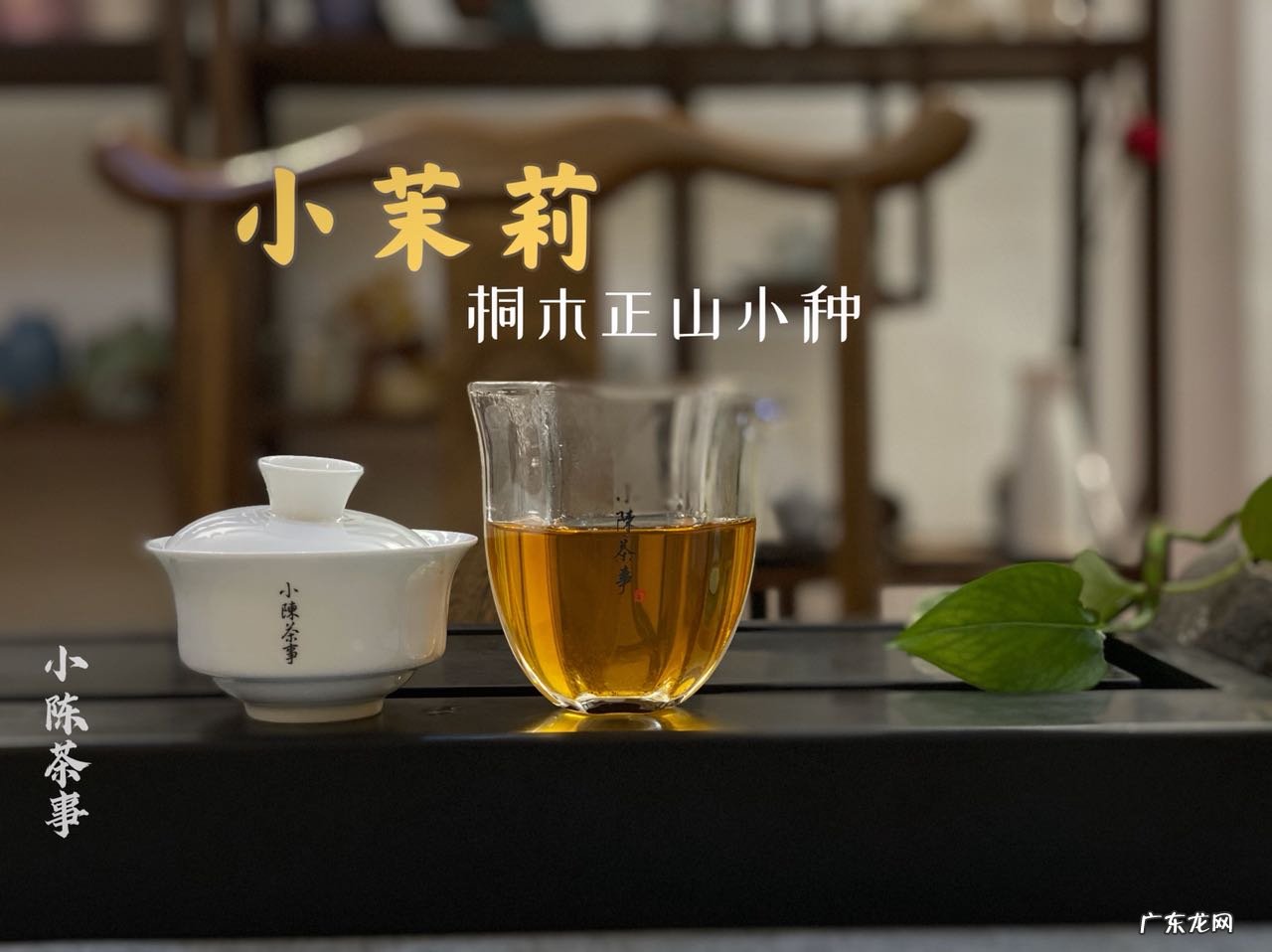 冲功夫茶的步骤 冲茶茶具
